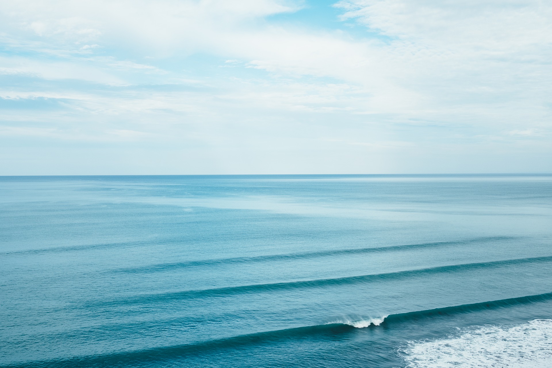 Lineas de olas Lineas de olas